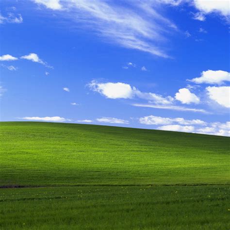 windows xp wallpapers 4k